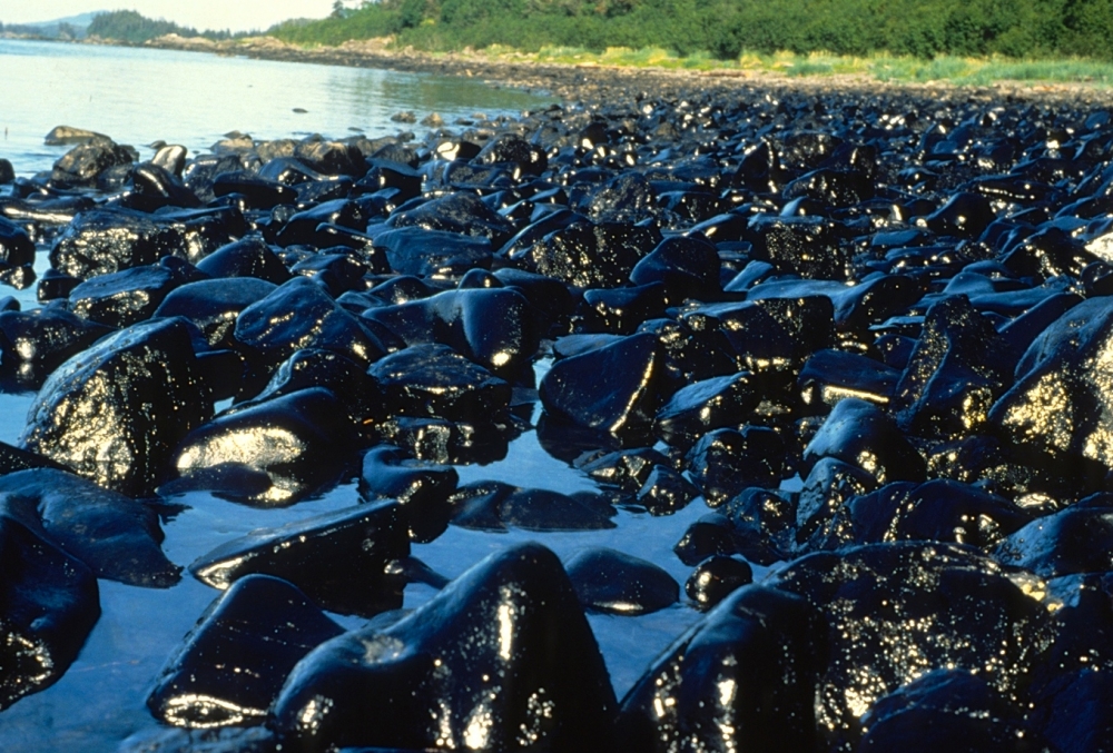 the-exxon-valdez-25-years-later-the-current